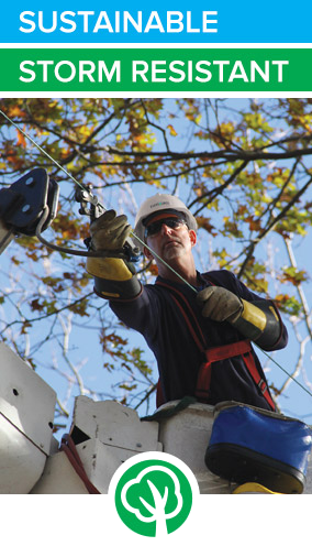 Tree Management