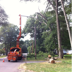 A tree crew works to manage vegetation along overhead power lines.