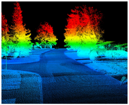 Point Cloud