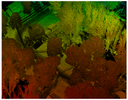 Point Cloud image